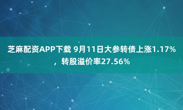 芝麻配资APP下载 9月11日大参转债上涨1.17%，转股溢价率27.56%