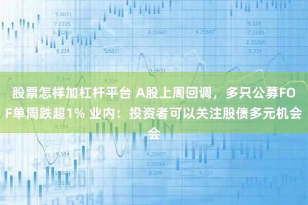 股票怎样加杠杆平台 A股上周回调，多只公募FOF单周跌超1% 业内：投资者可以关注股债多元机会