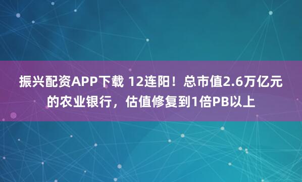 振兴配资APP下载 12连阳！总市值2.6万亿元的农业银行，估值修复到1倍PB以上