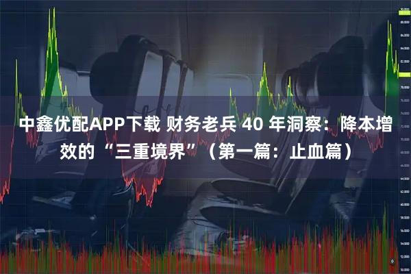 中鑫优配APP下载 财务老兵 40 年洞察：降本增效的 “三重境界”（第一篇：止血篇）
