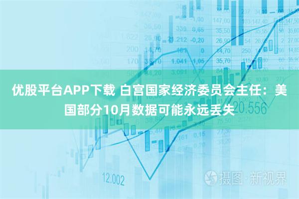 优股平台APP下载 白宫国家经济委员会主任：美国部分10月数据可能永远丢失