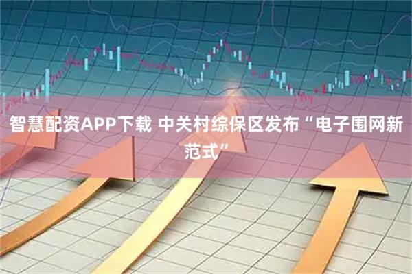 智慧配资APP下载 中关村综保区发布“电子围网新范式”